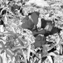 a teacher’s corner